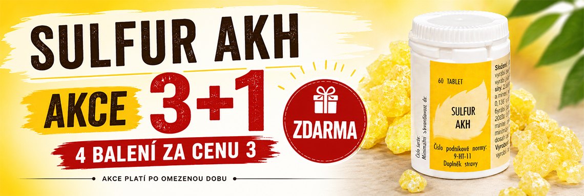 3+1 zdarma